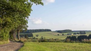 Vlaamse Ardennen temperatur, klima og vejr året rundt