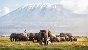 Amboseli National Park temperatur, klima og vejr året rundt
