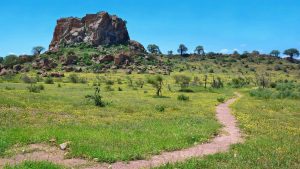 Mapungubwe National Park temperatur, klima og vejr året rundt