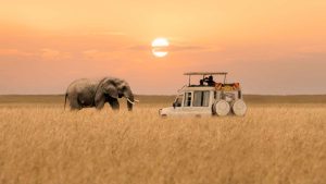 Masai Mara National Reserve temperatur, klima og vejr året rundt