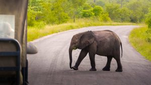 Selous Game Reserve temperatur, klima og vejr året rundt