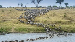 Serengeti National Park temperatur, klima og vejr året rundt