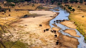 Tarangire National Park temperatur, klima og vejr året rundt