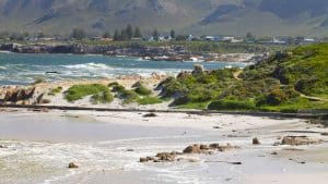 Hermanus temperatur, klima og vejr året rundt