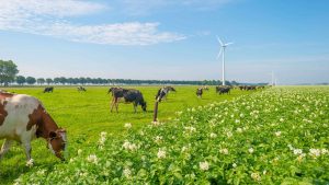 Flevoland temperatur, klima og vejr året rundt