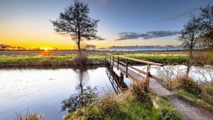 Friesland temperatur, klima og vejr året rundt