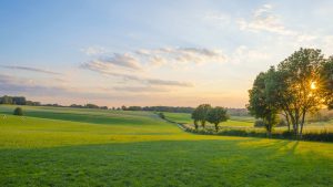 Vejret i Limburg i juli 2016