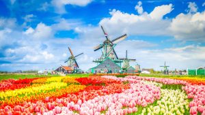 Vejret i Noord-Holland i juli 2015